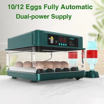 Инкубатор 220 В на 10/12 яиц, полностью автоматический Инкубационный брудер для выведения птицы, перепелов, цыплят, Токарь-инкубатор на птицефабрике